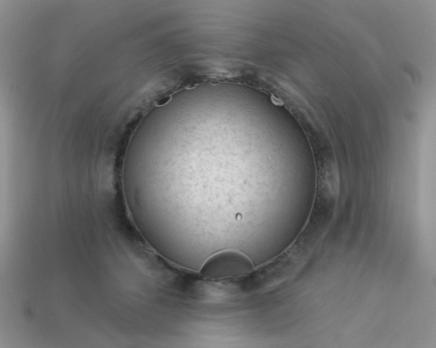 X0000113020512200909101840