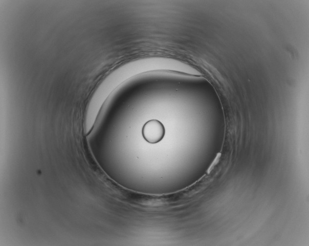 X0000113020513200909101840