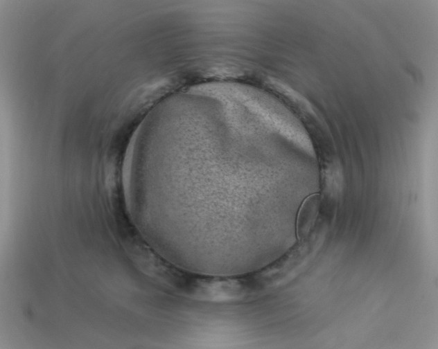X0000113020517200909101840