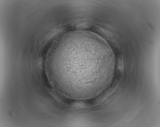 X0000113020519200909101840