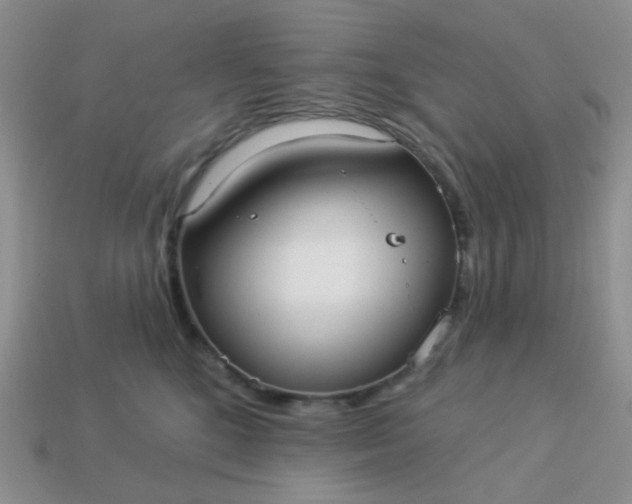 X0000113020520200909101840