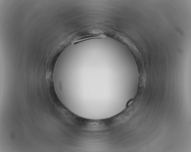 X0000113020521200909101840