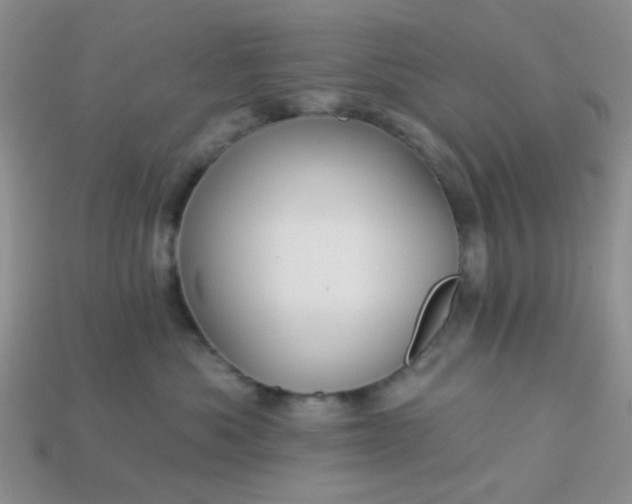 X0000113020525200909101840