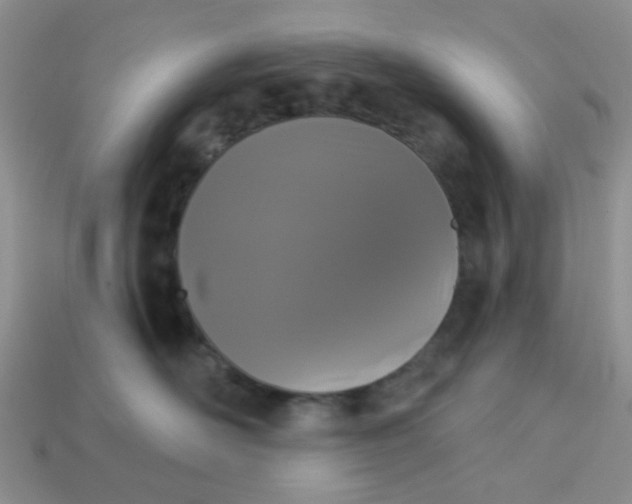 X0000113020526200909101840