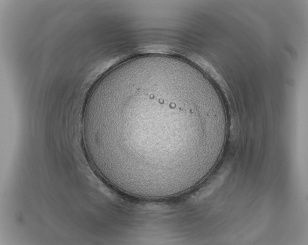 X0000113020529200909101839