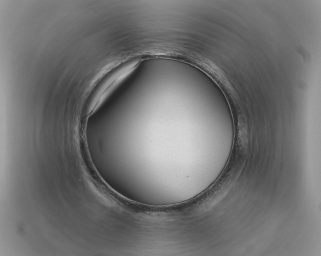 X0000113020530200909101839