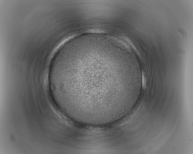 X0000113020531200909101839