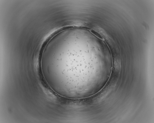 X0000113020532200909101839