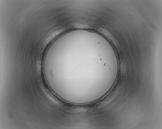 X0000113020533200909101839