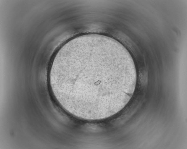X0000113020534200909101839