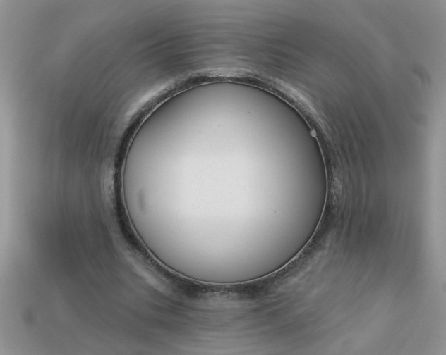 X0000113020535200909101839