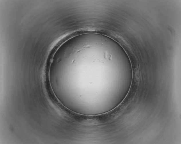 X0000113020536200909101839