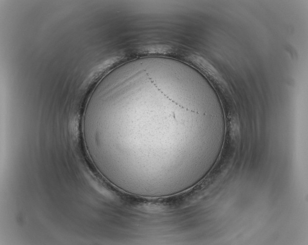 X0000113020537200909101839