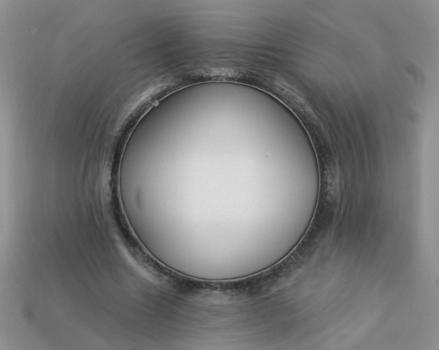 X0000113020538200909101839