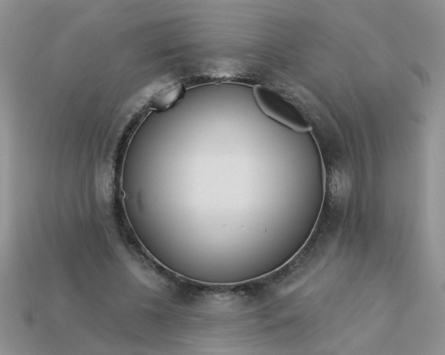 X0000113020540200909101840