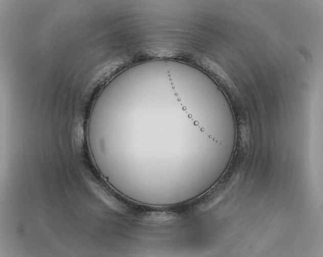 X0000113020541200909101840
