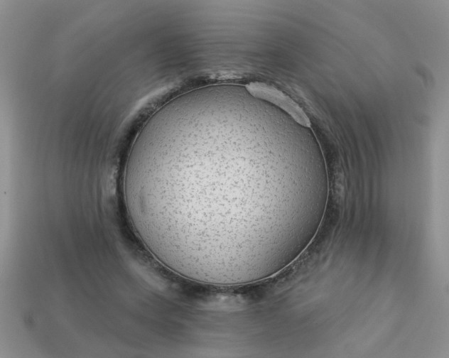 X0000113020543200909101840