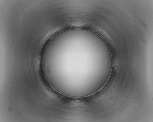 X0000113020544200909101840