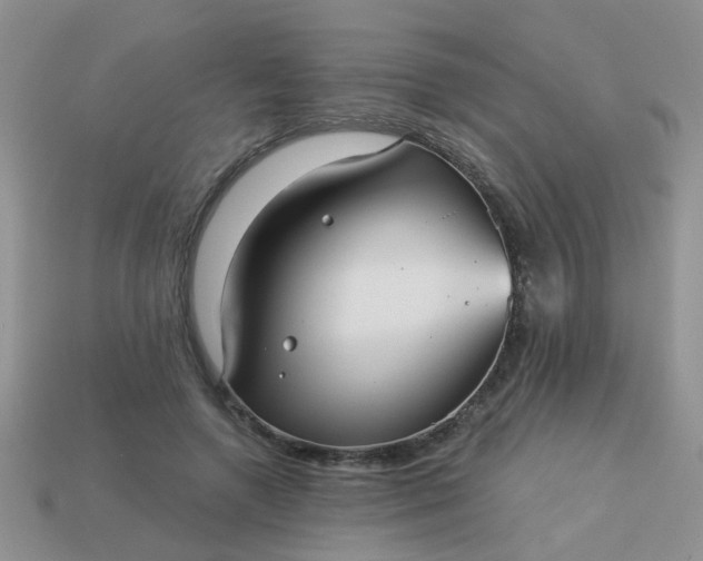 X0000113020546200909101840