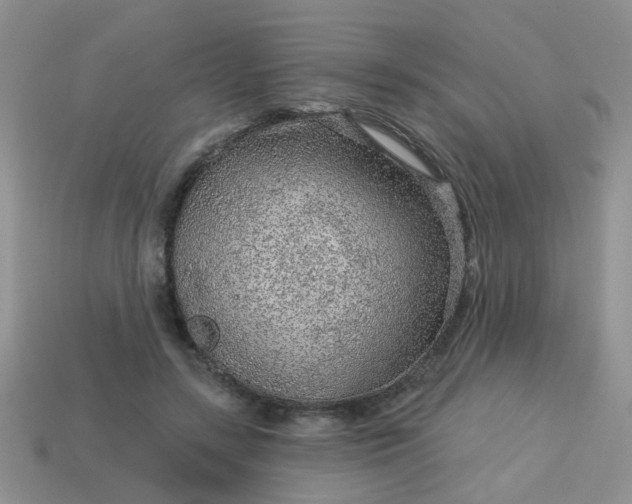 X0000113020547200909101840