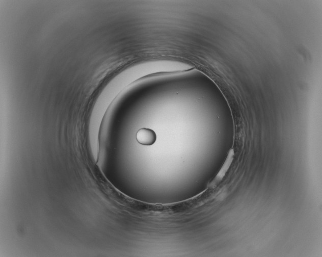 X0000113020548200909101840
