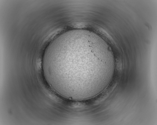 X0000113020549200909101840