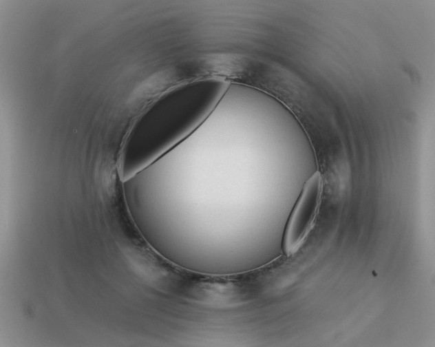 X0000113020552200909101840