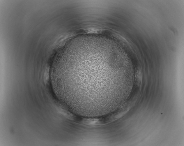X0000113020554200909101840