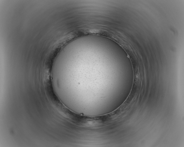 X0000113020555200909101840