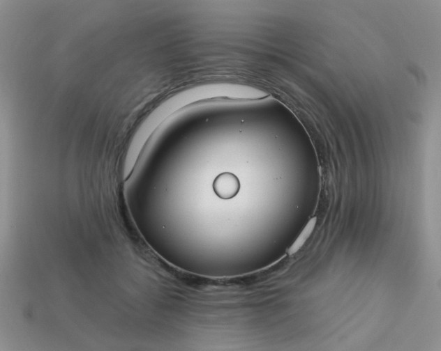 X0000113020556200909101840