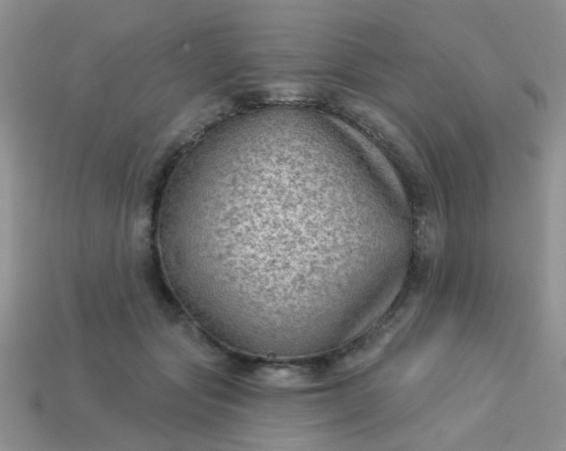 X0000113020557200909101840