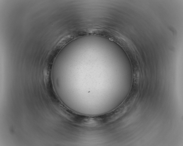X0000113020558200909101840