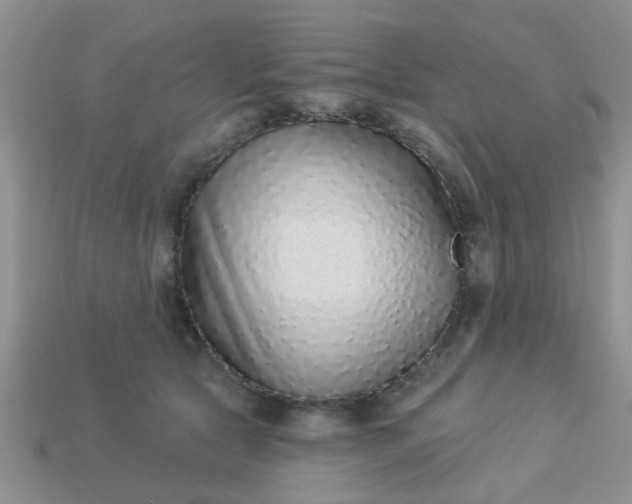 X0000113020561200909101840