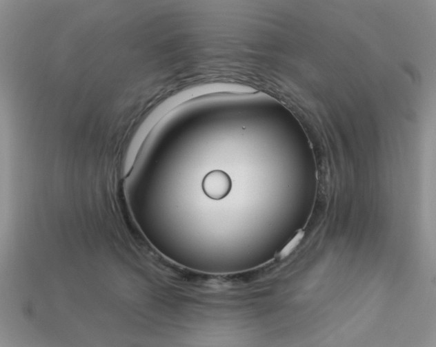 X0000113020562200909101840