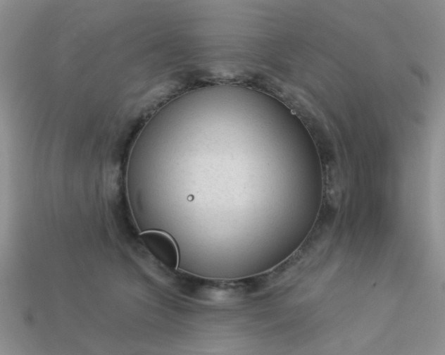 X0000113020563200909101840