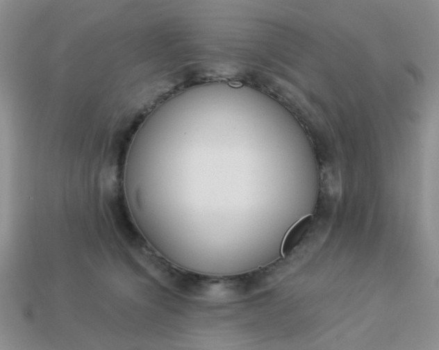X0000113020564200909101840