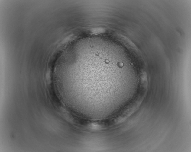 X0000113020565200909101840