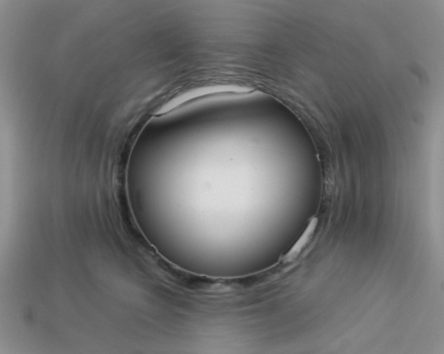 X0000113020566200909101840