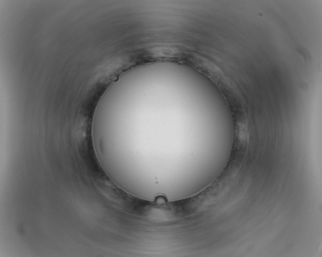 X0000113020567200909101840