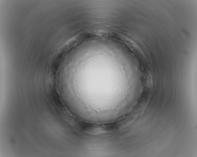 X0000113020569200909101840