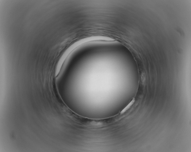 X0000113020570200909101840