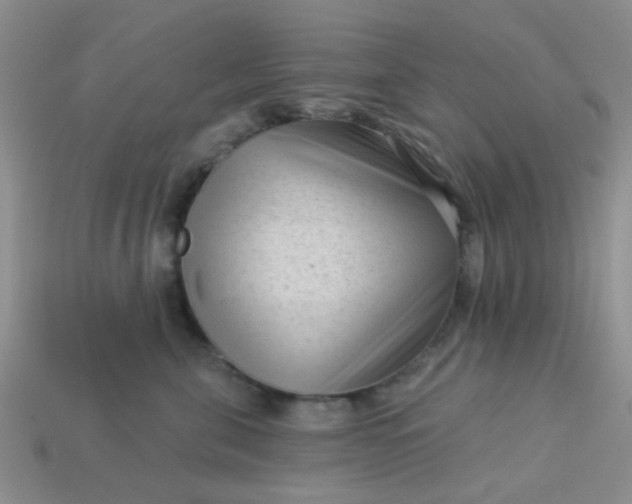 X0000113020571200909101840