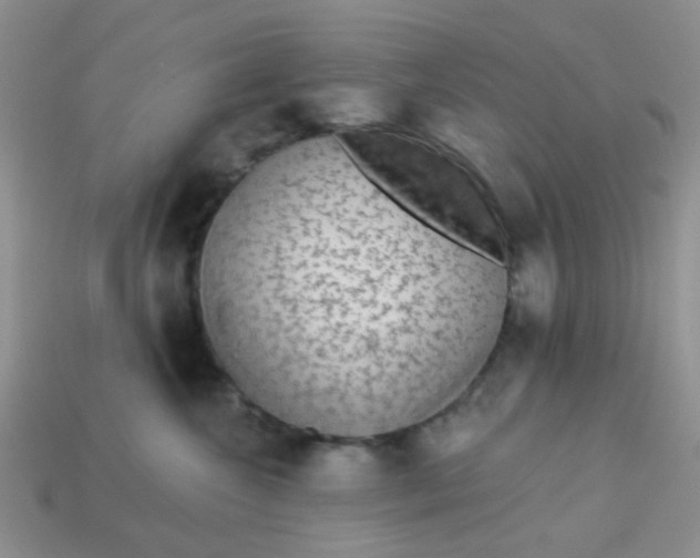 X0000113020572200909101840