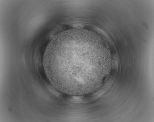 X0000113020573200909101840