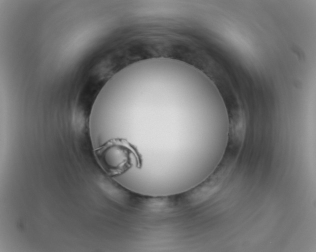 X0000113020574200909101840