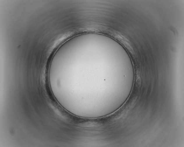 X0000113020578200909101839