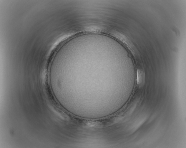 X0000113020579200909101839