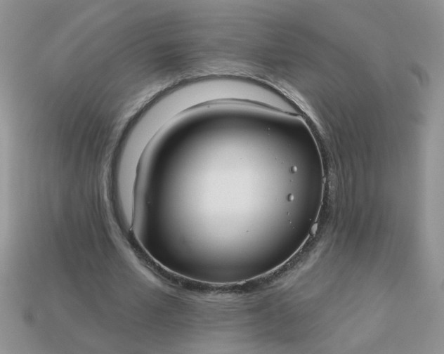 X0000113020581200909101839