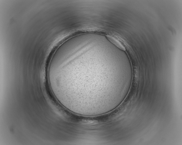 X0000113020582200909101839