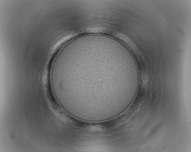 X0000113020583200909101839